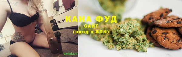 дмт Арсеньев