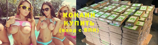 дмт Арсеньев